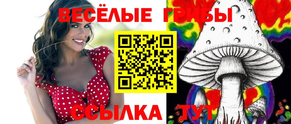 Отрадный  Псилоцибиновые грибы мицелий  Вход с VPN  Псилоцибиновые грибы Psilocybine cubensis 