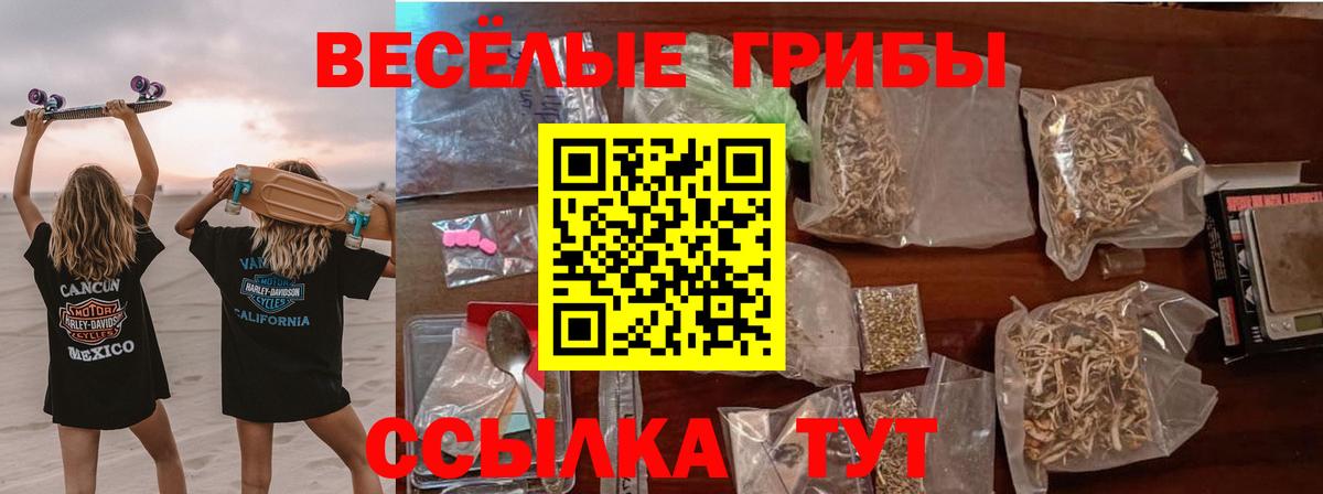 Галлюциногенные грибы MAGIC MUSHROOMS Отрадный
